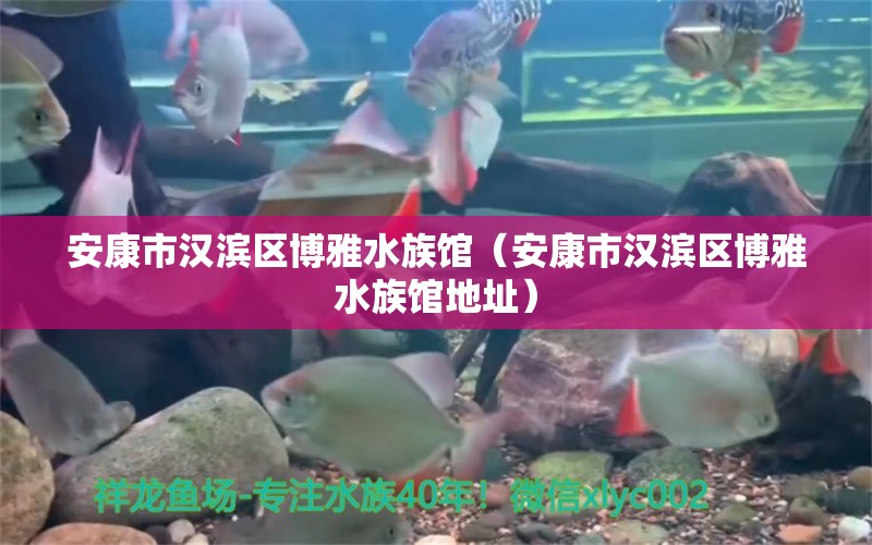 安康市汉滨区博雅水族馆（安康市汉滨区博雅水族馆地址） 全国水族馆企业名录