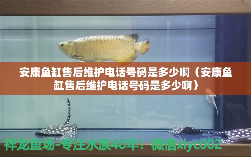 安康鱼缸售后维护电话号码是多少啊（安康鱼缸售后维护电话号码是多少啊）