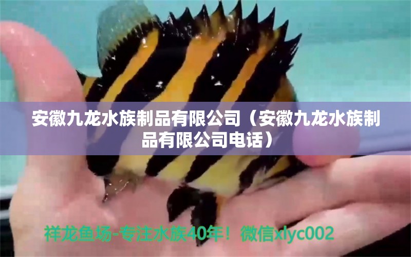 安徽九龙水族制品有限公司（安徽九龙水族制品有限公司电话）