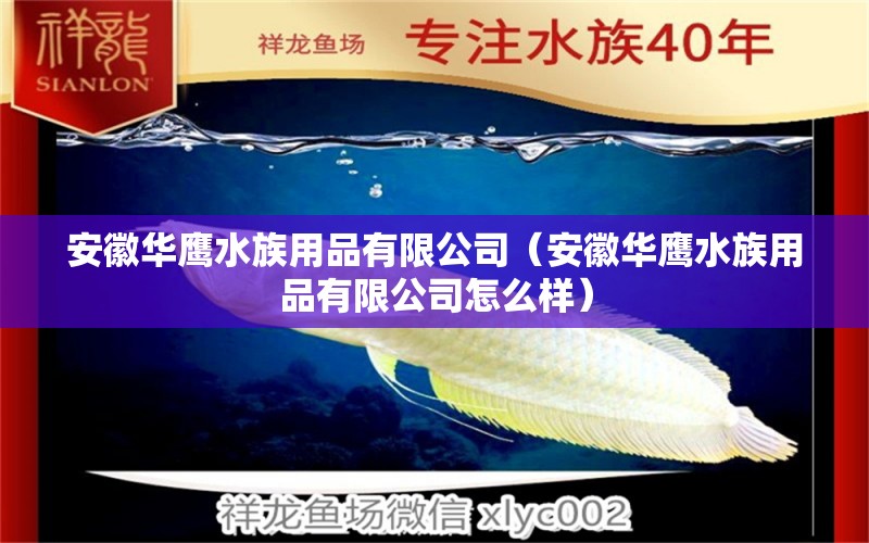 安徽华鹰水族用品有限公司（安徽华鹰水族用品有限公司怎么样）