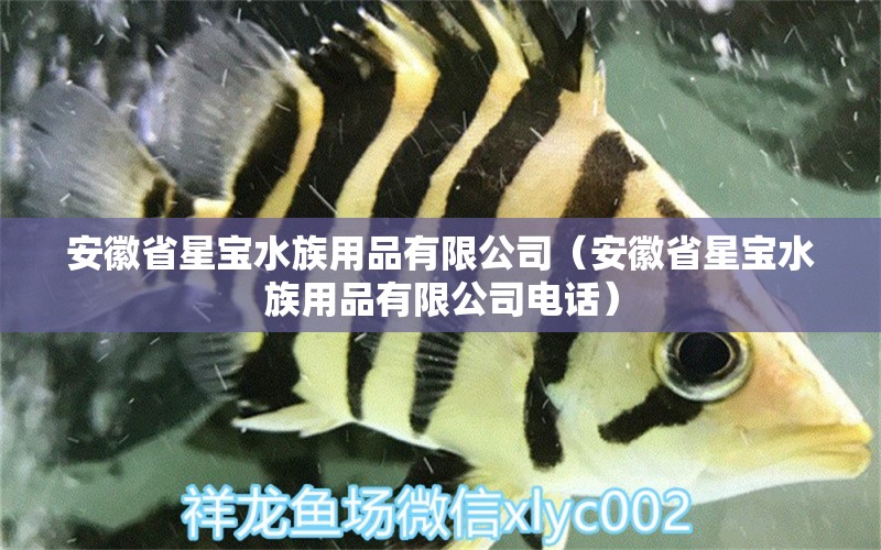 安徽省星宝水族用品有限公司（安徽省星宝水族用品有限公司电话）