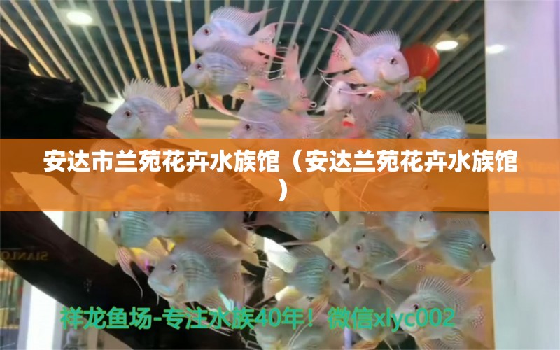 安达市兰苑花卉水族馆（安达兰苑花卉水族馆） 全国观赏鱼市场 第1张