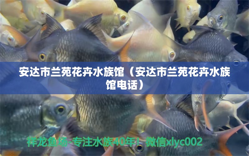 安达市兰苑花卉水族馆（安达市兰苑花卉水族馆电话） 全国水族馆企业名录