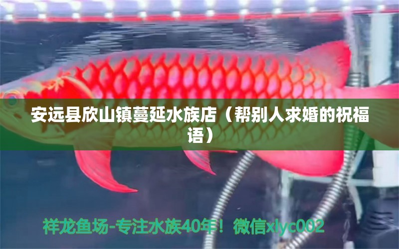 安远县欣山镇蔓延水族店（帮别人求婚的祝福语） 全国水族馆企业名录