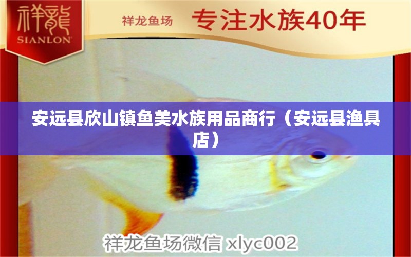 安远县欣山镇鱼美水族用品商行（安远县渔具店） 水族用品