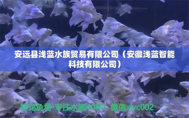 安远县浅蓝水族贸易有限公司（安徽浅蓝智能科技有限公司）