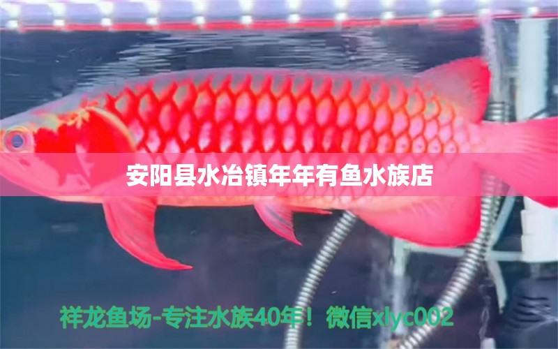 安阳县水冶镇年年有鱼水族店 全国水族馆企业名录