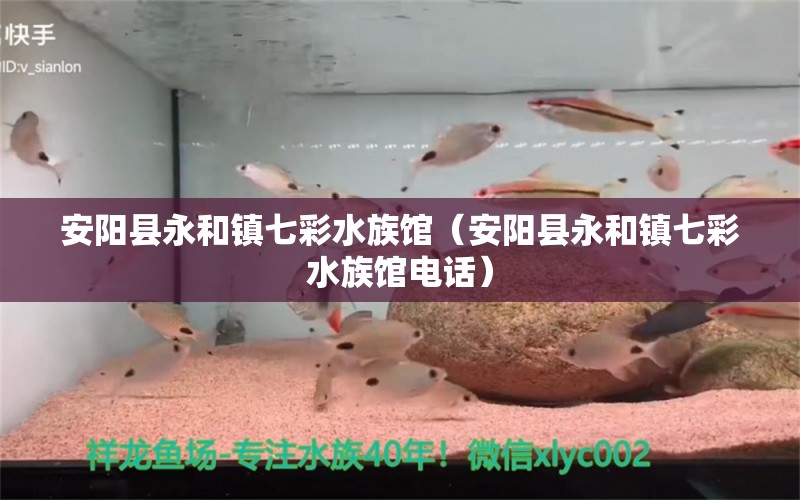 安阳县永和镇七彩水族馆（安阳县永和镇七彩水族馆电话） 全国水族馆企业名录