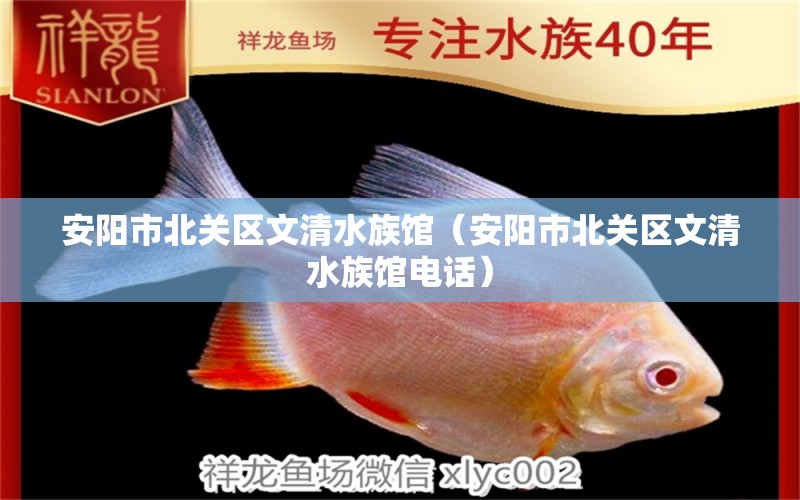 安阳市北关区文清水族馆（安阳市北关区文清水族馆电话） 全国水族馆企业名录