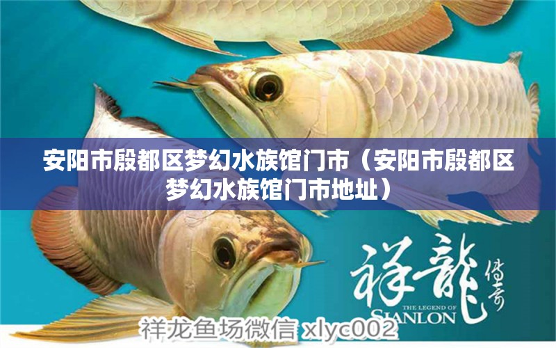 安阳市殷都区梦幻水族馆门市（安阳市殷都区梦幻水族馆门市地址）