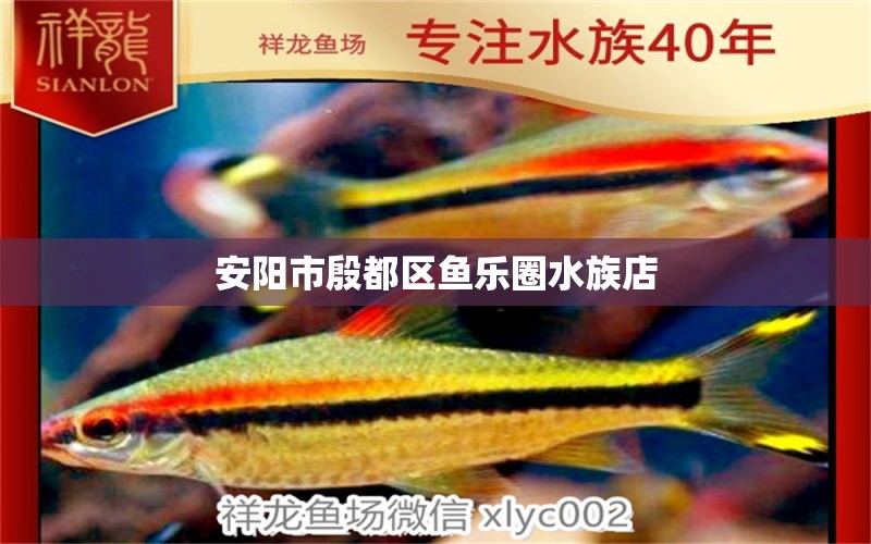 安阳市殷都区鱼乐圈水族店