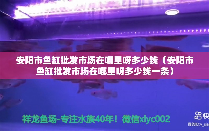 安阳市鱼缸批发市场在哪里呀多少钱（安阳市鱼缸批发市场在哪里呀多少钱一条）