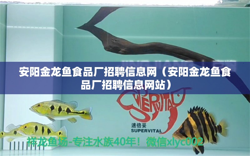 安阳金龙鱼食品厂招聘信息网（安阳金龙鱼食品厂招聘信息网站）