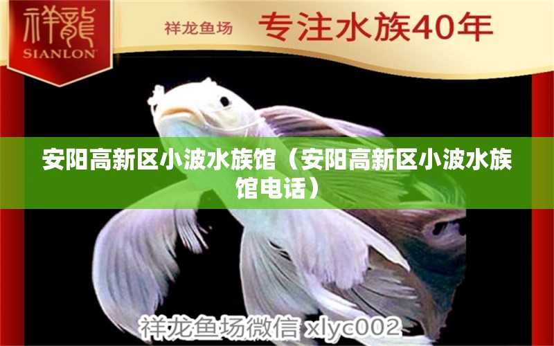 安阳高新区小波水族馆（安阳高新区小波水族馆电话） 全国水族馆企业名录