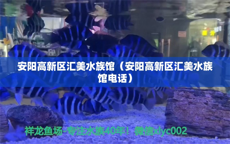 安阳高新区汇美水族馆（安阳高新区汇美水族馆电话） 全国水族馆企业名录