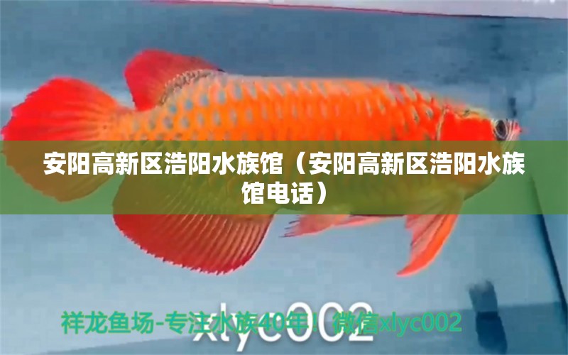 安阳高新区浩阳水族馆（安阳高新区浩阳水族馆电话）