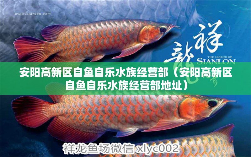 安阳高新区自鱼自乐水族经营部（安阳高新区自鱼自乐水族经营部地址）