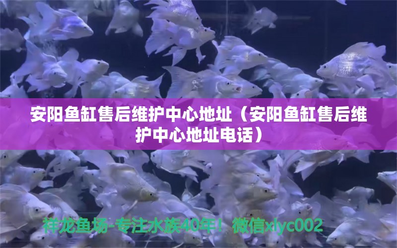 安阳鱼缸售后维护中心地址（安阳鱼缸售后维护中心地址电话） 其他品牌鱼缸