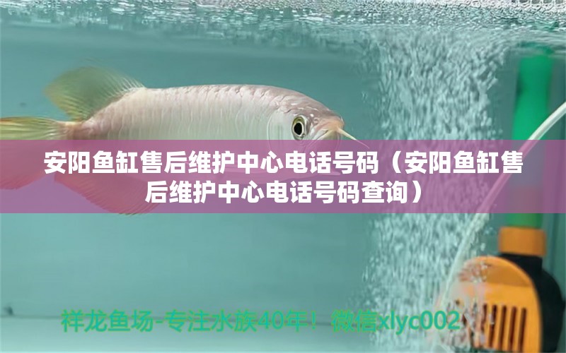 安阳鱼缸售后维护中心电话号码（安阳鱼缸售后维护中心电话号码查询）