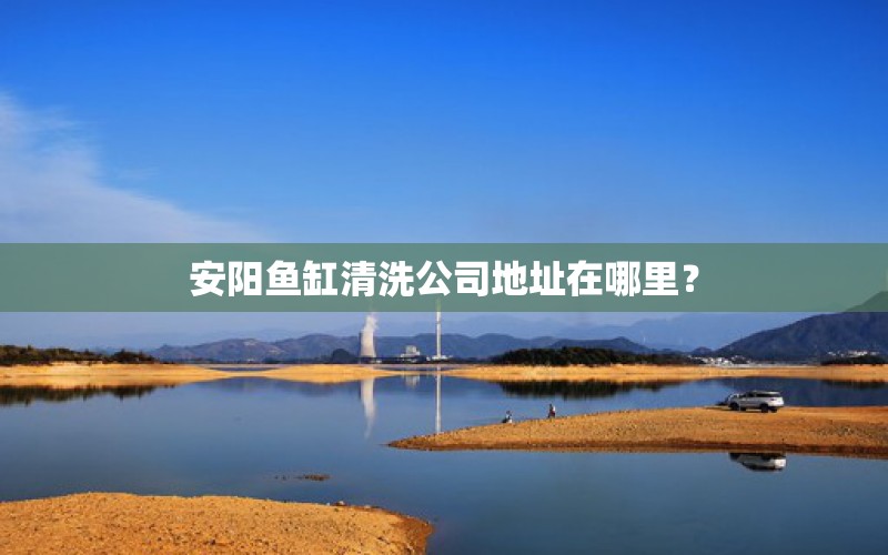 安阳鱼缸清洗公司地址在哪里？ 巨骨舌鱼