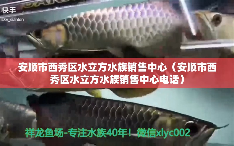 安顺市西秀区水立方水族销售中心（安顺市西秀区水立方水族销售中心电话） 全国水族馆企业名录