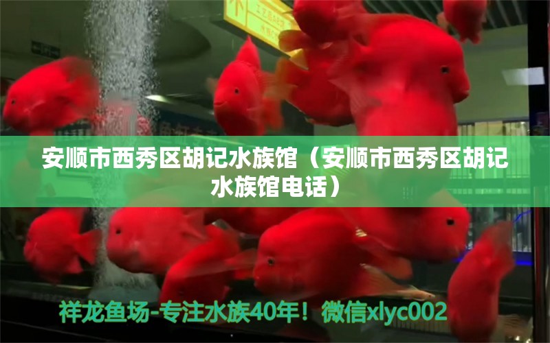 安顺市西秀区胡记水族馆（安顺市西秀区胡记水族馆电话）