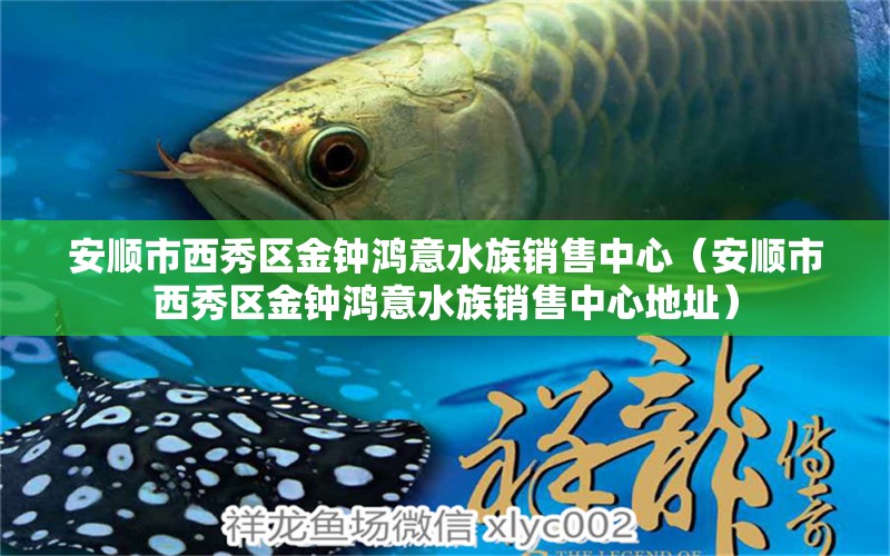 安顺市西秀区金钟鸿意水族销售中心（安顺市西秀区金钟鸿意水族销售中心地址） 全国水族馆企业名录