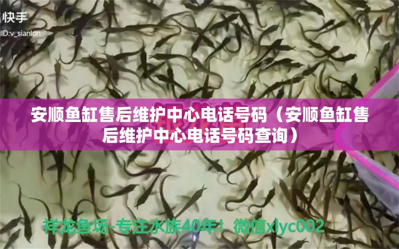 安顺鱼缸售后维护中心电话号码（安顺鱼缸售后维护中心电话号码查询）