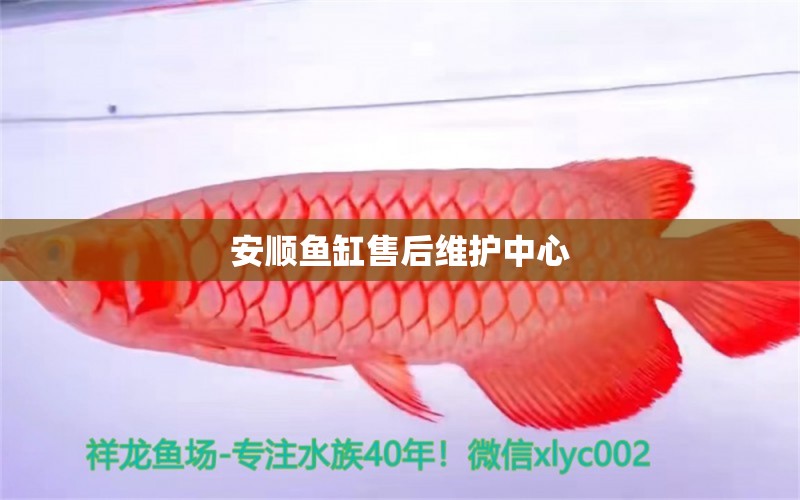 安顺鱼缸售后维护中心 其他品牌鱼缸