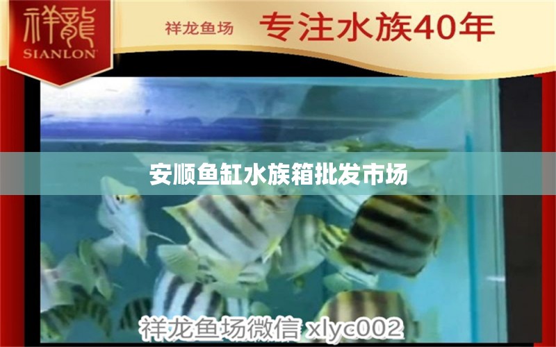 安顺鱼缸水族箱批发市场