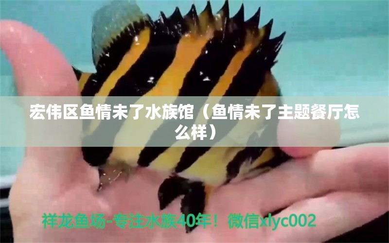 宏伟区鱼情未了水族馆（鱼情未了主题餐厅怎么样） 全国水族馆企业名录