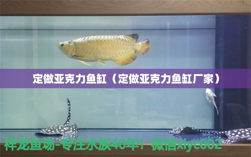 定做亚克力鱼缸（定做亚克力鱼缸厂家） 观赏鱼市场（混养鱼）