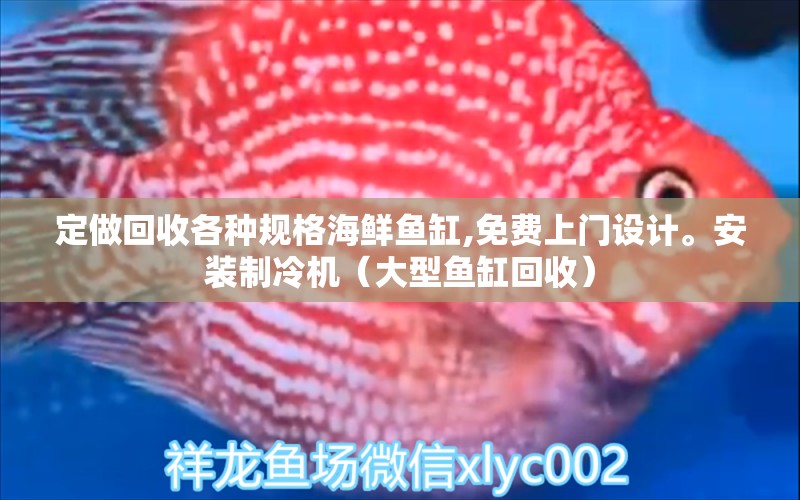 定做回收各种规格海鲜鱼缸,免费上门设计。安装制冷机（大型鱼缸回收）