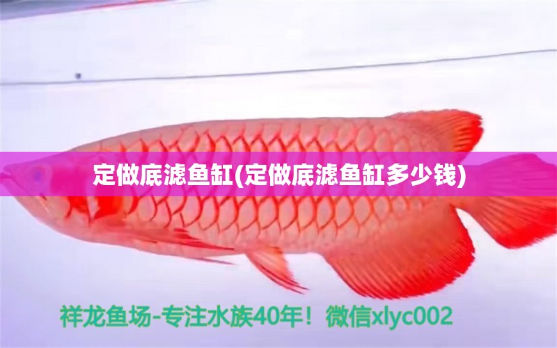 定做底滤鱼缸(定做底滤鱼缸多少钱)