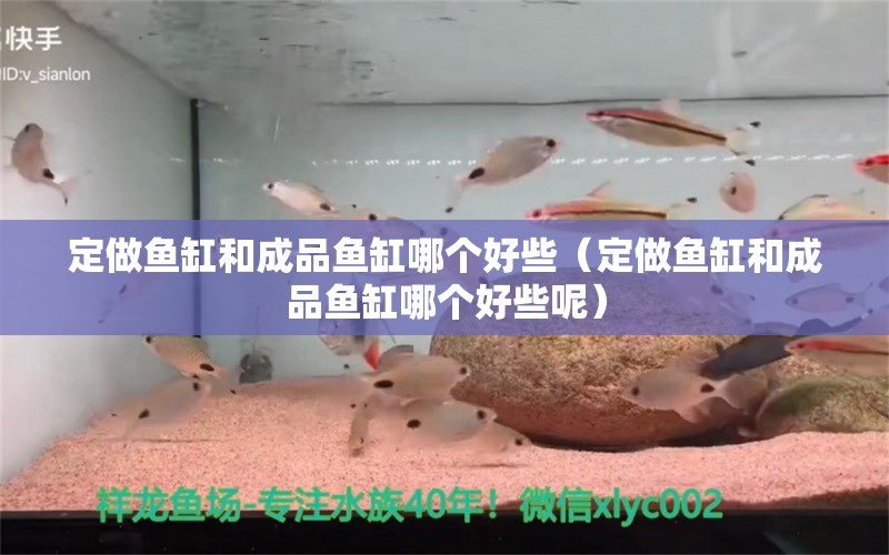 定做鱼缸和成品鱼缸哪个好些（定做鱼缸和成品鱼缸哪个好些呢）