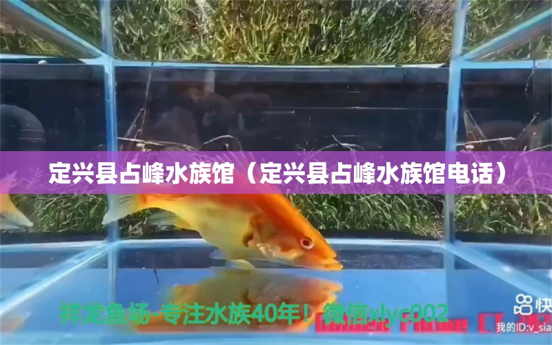 定兴县占峰水族馆（定兴县占峰水族馆电话） 全国水族馆企业名录