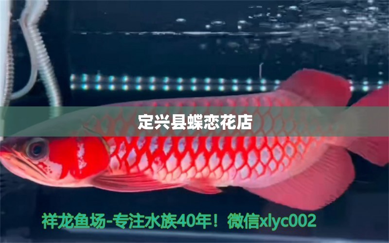 定兴县蝶恋花店 全国水族馆企业名录