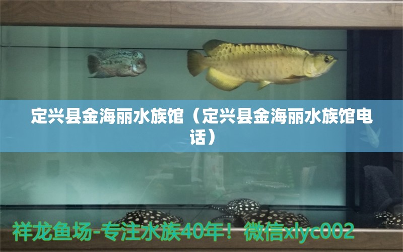 定兴县金海丽水族馆（定兴县金海丽水族馆电话）