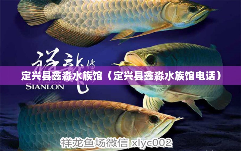 定兴县鑫淼水族馆（定兴县鑫淼水族馆电话） 全国水族馆企业名录