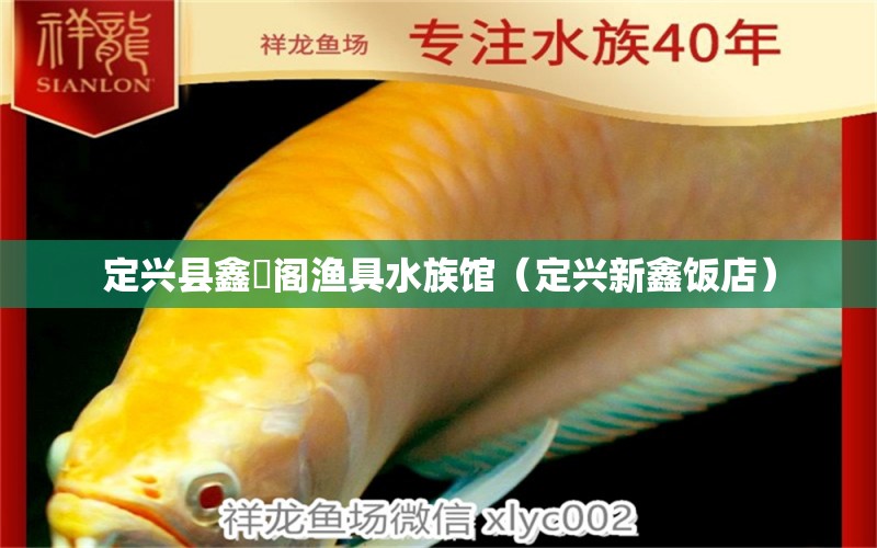 定兴县鑫龍阁渔具水族馆（定兴新鑫饭店）