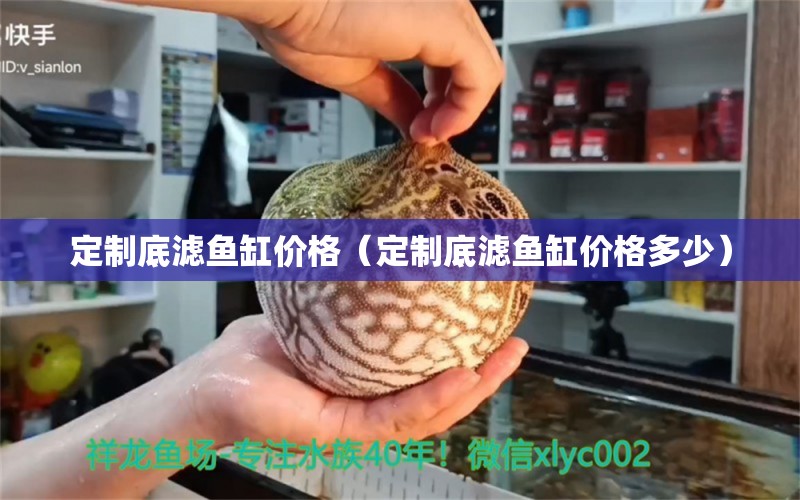 定制底滤鱼缸价格（定制底滤鱼缸价格多少）