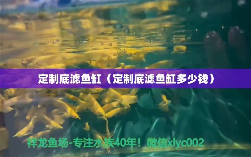 定制底滤鱼缸（定制底滤鱼缸多少钱） 量子养鱼技术