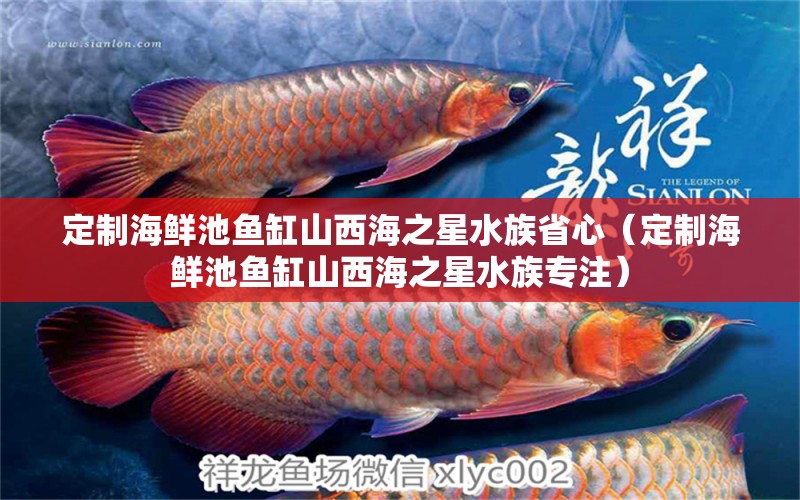 定制海鲜池鱼缸山西海之星水族省心（定制海鲜池鱼缸山西海之星水族专注） 观赏鱼市场（混养鱼）