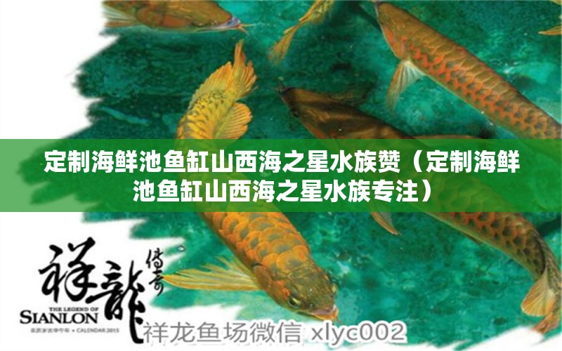 定制海鲜池鱼缸山西海之星水族赞（定制海鲜池鱼缸山西海之星水族专注） 观赏鱼市场（混养鱼）