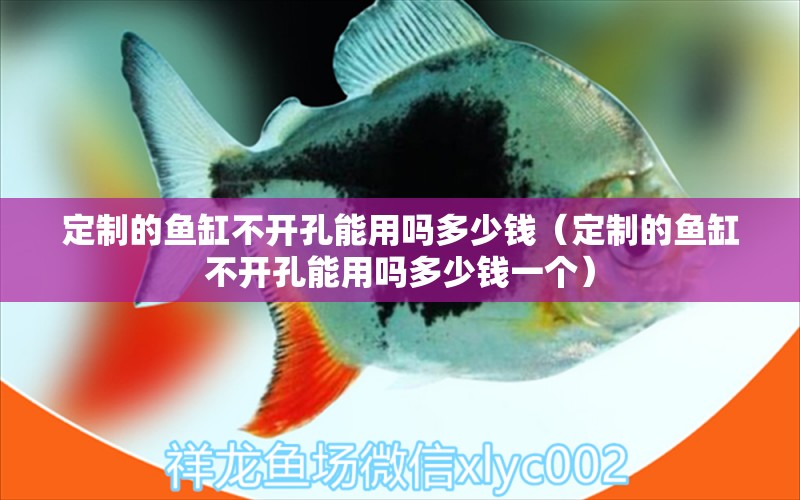 定制的鱼缸不开孔能用吗多少钱（定制的鱼缸不开孔能用吗多少钱一个） 鱼缸水质稳定剂