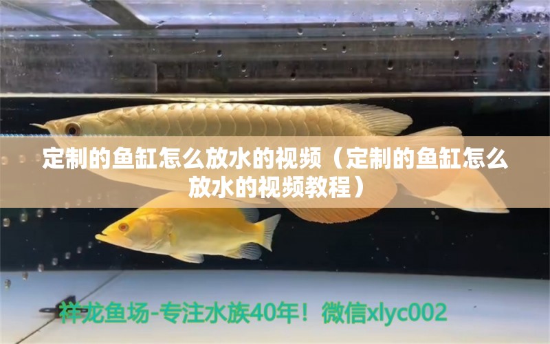 定制的鱼缸怎么放水的视频（定制的鱼缸怎么放水的视频教程）