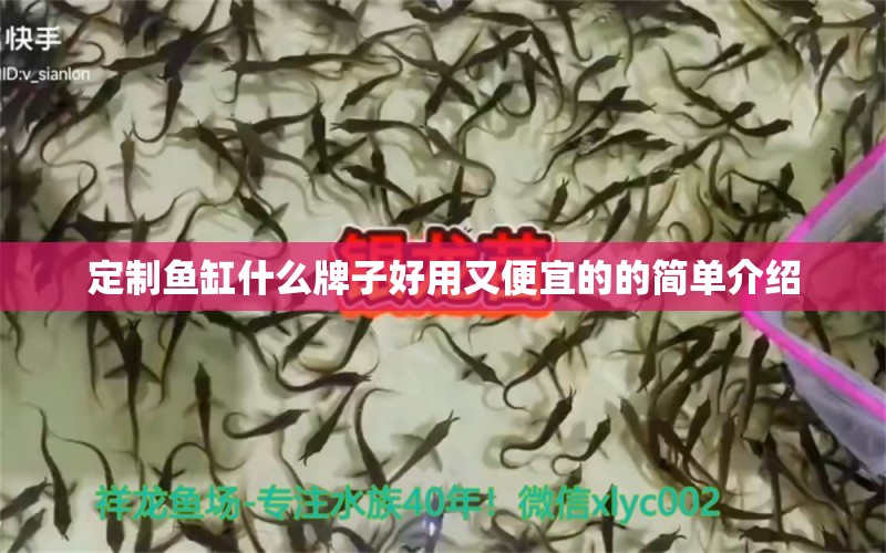 定制鱼缸什么牌子好用又便宜的的简单介绍