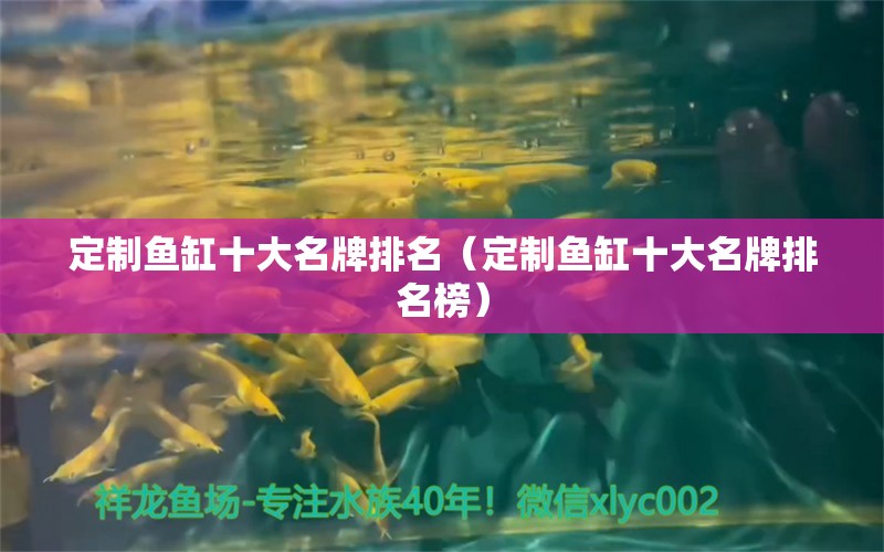 定制鱼缸十大名牌排名（定制鱼缸十大名牌排名榜） 其他品牌鱼缸