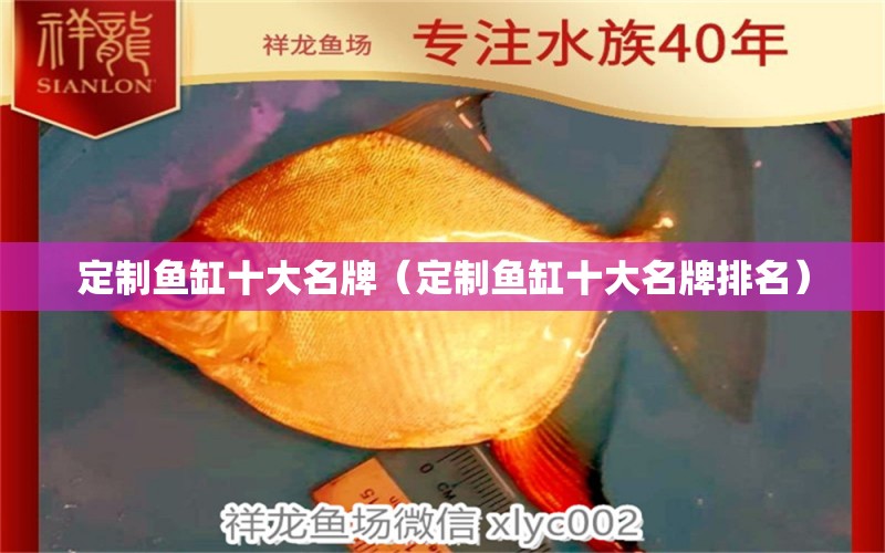 定制鱼缸十大名牌（定制鱼缸十大名牌排名） 其他品牌鱼缸