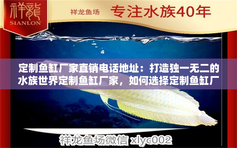 定制鱼缸厂家直销电话地址：打造独一无二的水族世界定制鱼缸厂家，如何选择定制鱼缸厂家直销电话地址